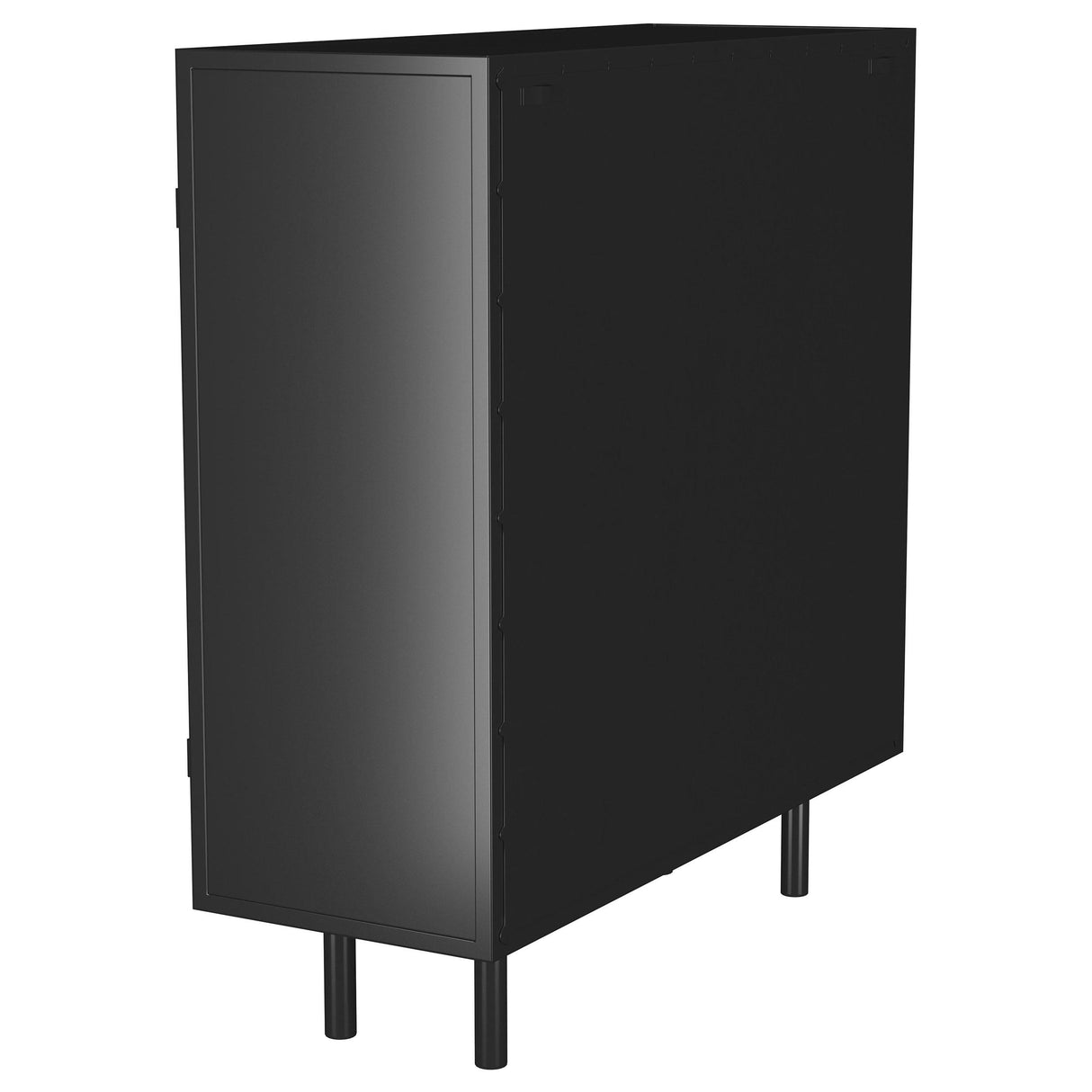 Dalia Black 2-Door Accent Storage Cabinet with Shelving