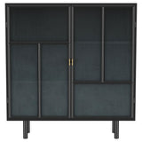 Dalia Black 2-Door Accent Storage Cabinet with Shelving by Coaster at Eve Furniture
