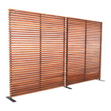 Damani Brown Screen