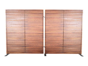 Damani Brown Screen