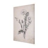 Dandelion Drawing II by Mercana Studio a Hand Embellished Textured Canvas by Mercana at Eve Furniture