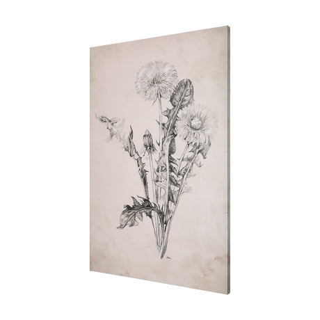 Dandelion Drawing II by Mercana Studio a Hand Embellished Textured Canvas by Mercana at Eve Furniture