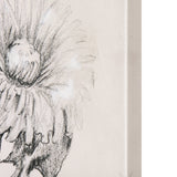 Dandelion Drawing II by Mercana Studio a Hand Embellished Textured Canvas by Mercana at Eve Furniture