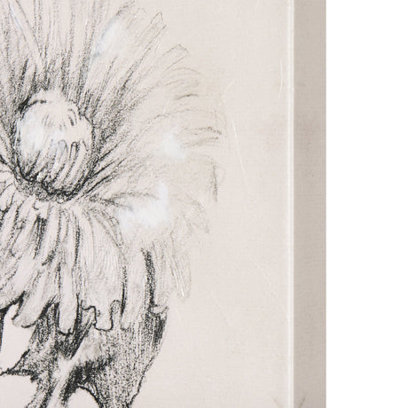 Dandelion Drawing II by Mercana Studio a Hand Embellished Textured Canvas by Mercana at Eve Furniture