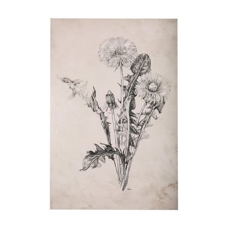 Dandelion Drawing II by Mercana Studio a Hand Embellished Textured Canvas by Mercana at Eve Furniture