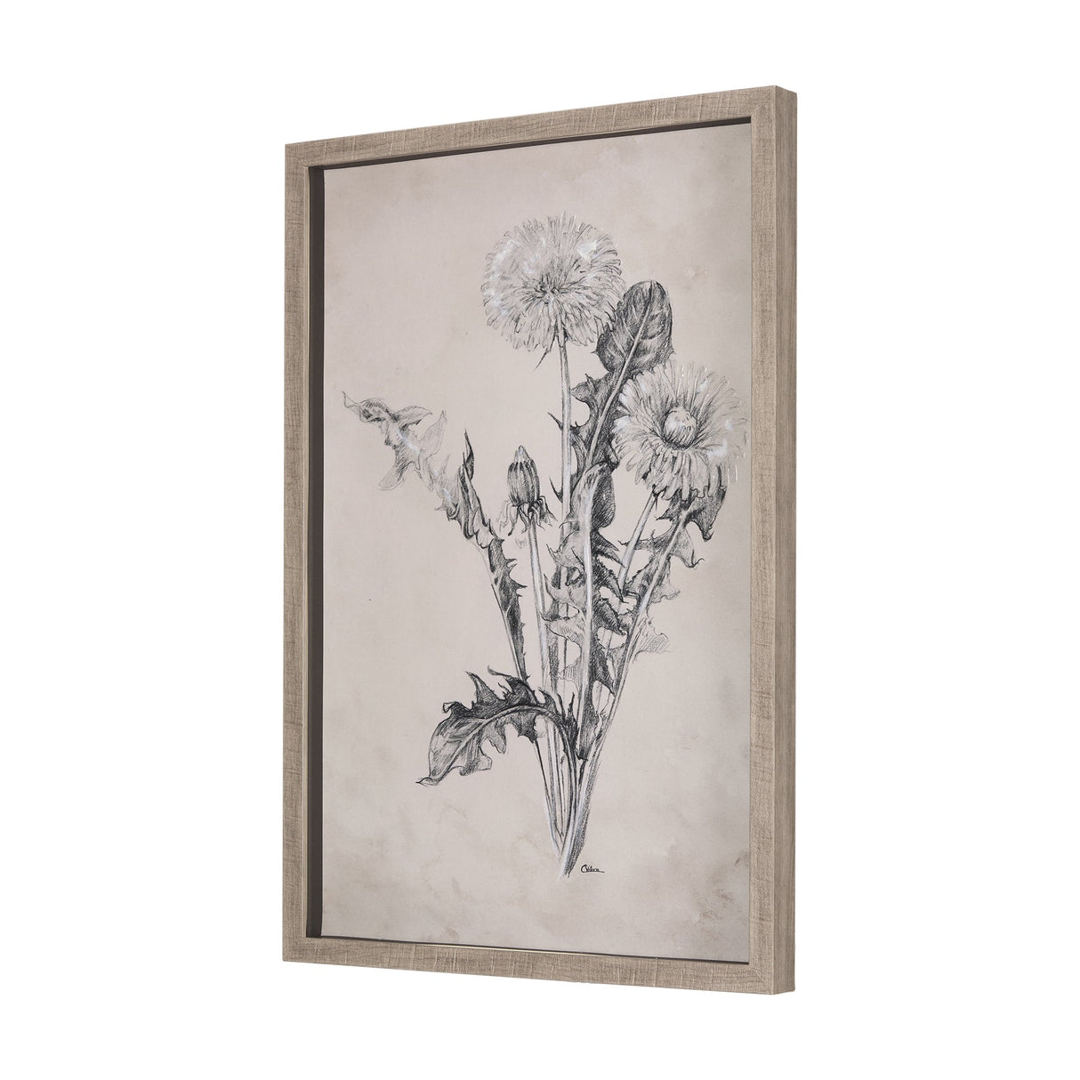 Dandelion Drawing II by Mercana Studio Hand Embellished Textured Framed Art Print Matted under Glass by Mercana at Eve Furniture
