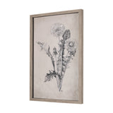 Dandelion Drawing II by Mercana Studio Hand Embellished Textured Framed Art Print Matted under Glass by Mercana at Eve Furniture
