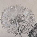 Dandelion Drawing II by Mercana Studio Hand Embellished Textured Framed Art Print Matted under Glass by Mercana at Eve Furniture