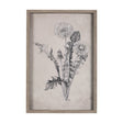 Dandelion Drawing II by Mercana Studio Hand Embellished Textured Framed Art Print Matted under Glass by Mercana at Eve Furniture