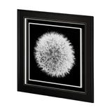 Dandelion on Black I by Aledanda a Framed Photo Art Print Matted under Glass by Mercana at Eve Furniture