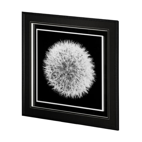 Dandelion on Black I by Aledanda a Framed Photo Art Print Matted under Glass by Mercana at Eve Furniture