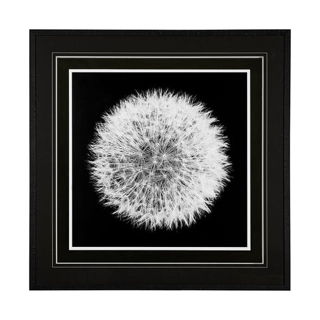 Dandelion on Black I by Aledanda a Framed Photo Art Print Matted under Glass by Mercana at Eve Furniture