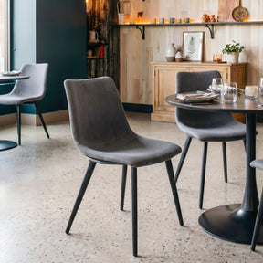 Daniel Gray Dining Chair (Set of 2) by Zuomod at Eve Furniture
