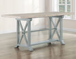 Darcy 64-82″Counter Table with 18-inch leaf, Mint Green and Natural Finish by Steve Silver at Eve Furniture