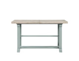 Darcy 64-82″Counter Table with 18-inch leaf, Mint Green and Natural Finish by Steve Silver at Eve Furniture