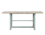 Darcy 64-82″Counter Table with 18-inch leaf, Mint Green and Natural Finish by Steve Silver at Eve Furniture