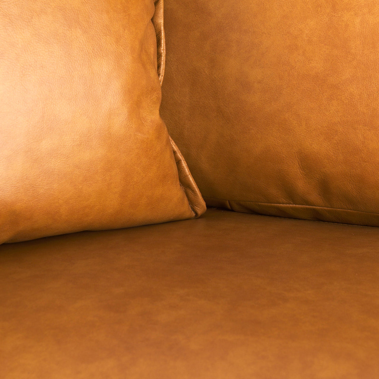D'Arcy 65.0L x 37.0W x 34.0H Tan Leather Love Seat by Mercana at Eve Furniture