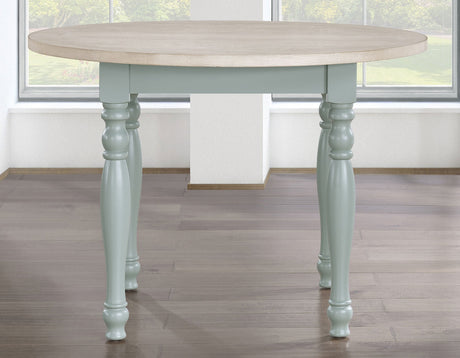 Darcy Mint Green/Natural Round Dining Room Set by Steve Silver at Eve Furniture