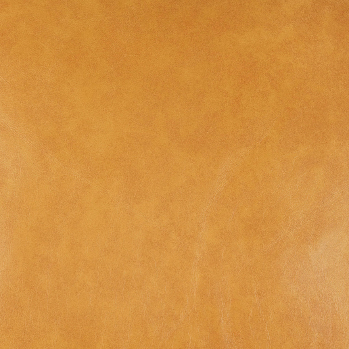 D'Arcy Tan Leather Sofa by Mercana at Eve Furniture