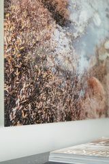 Darinby Gray/Brown/White Wall Art by Ashley at Eve Furniture