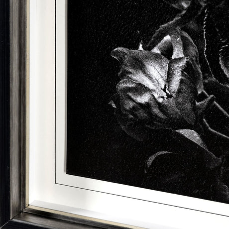 Dark Blossoms by Brian Carson a Hand Embellished Textured Framed Photo Art Print Matted under Glass by Mercana at Eve Furniture