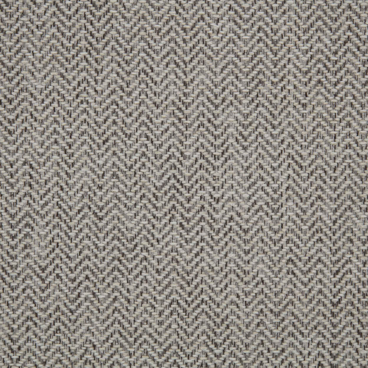 Dayes Taupe Upholstered Power Lift Recliner Chair by Coaster at Eve Furniture