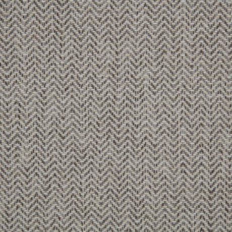 Dayes Taupe Upholstered Power Lift Recliner Chair by Coaster at Eve Furniture