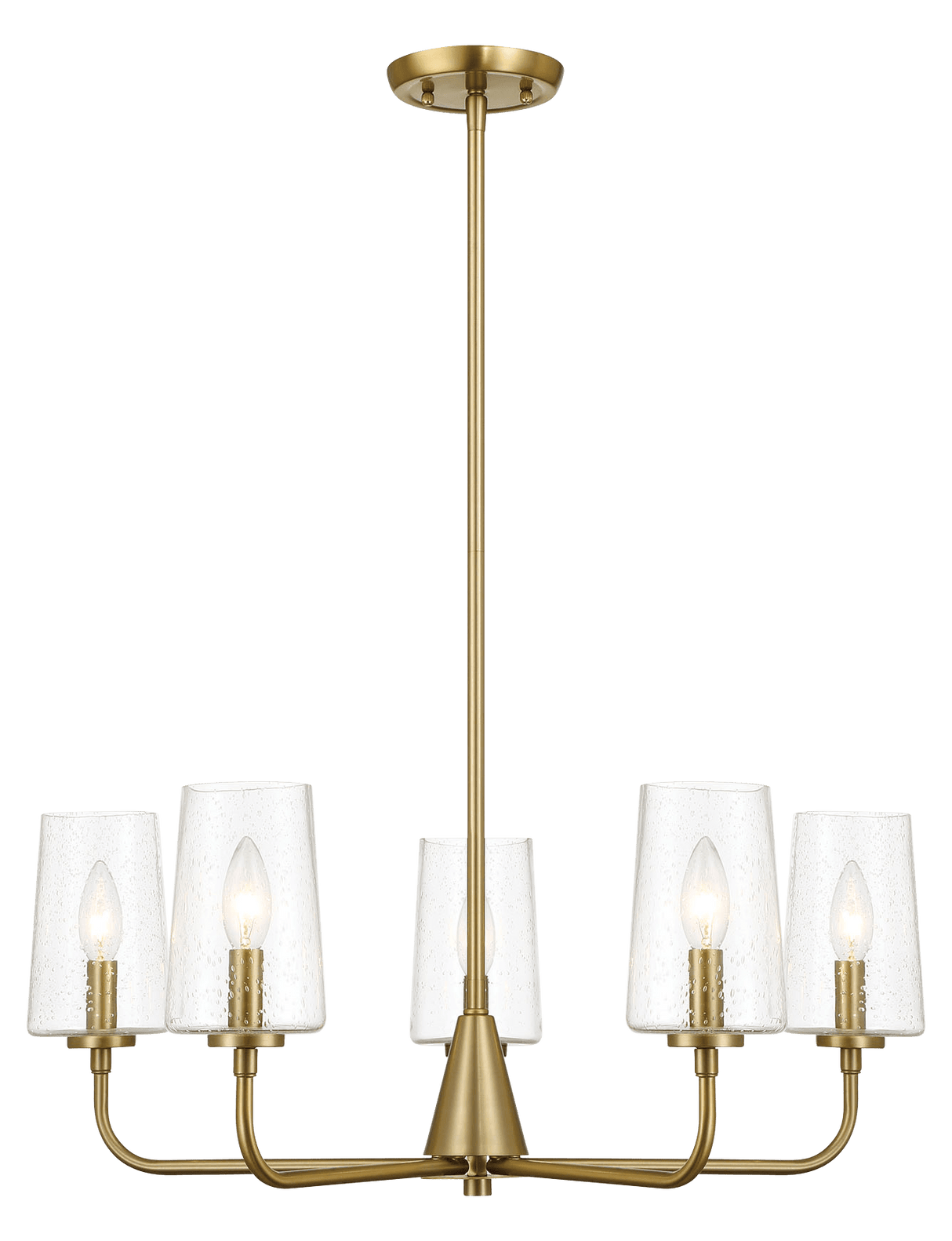 Dazzle Five Lights Chandelier With Clear Seeded Glass -Satin Brass