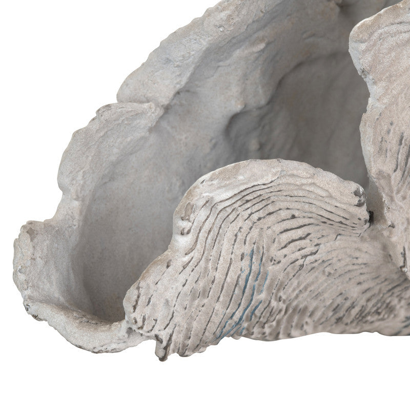 Deacon Medium Cream Coral Sculpture by Crestview at Eve Furniture