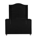 Deanna Black Button Tufted Mirror by Coaster at Eve Furniture