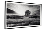 Deborland Black/White Wall Art by Ashley at Eve Furniture