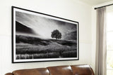 Deborland Black/White Wall Art by Ashley at Eve Furniture