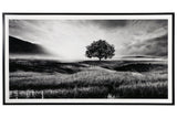 Deborland Black/White Wall Art by Ashley at Eve Furniture