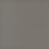 Deepika Gray Driftwood 4-Panel Folding Screen by Coaster at Eve Furniture