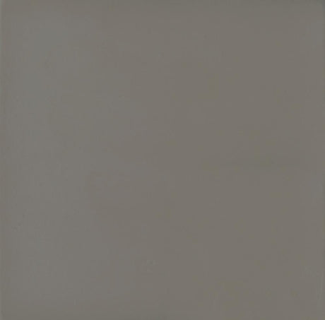 Deepika Gray Driftwood 4-Panel Folding Screen by Coaster at Eve Furniture