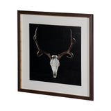 Deer Skull by Chris Dunker a Hand Embelished Textured Framed Art Print Matted under Glass by Mercana at Eve Furniture