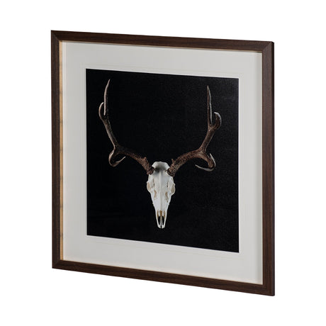 Deer Skull by Chris Dunker a Hand Embelished Textured Framed Art Print Matted under Glass by Mercana at Eve Furniture
