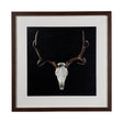 Deer Skull by Chris Dunker a Hand Embelished Textured Framed Art Print Matted under Glass by Mercana at Eve Furniture