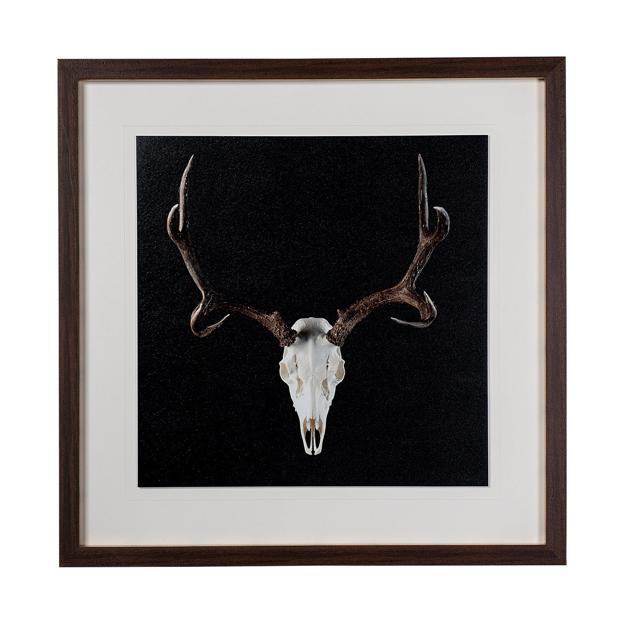 Deer Skull by Chris Dunker a Hand Embelished Textured Framed Art Print Matted under Glass by Mercana at Eve Furniture