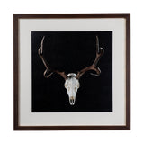 Deer Skull by Chris Dunker a Hand Embelished Textured Framed Art Print Matted under Glass by Mercana at Eve Furniture