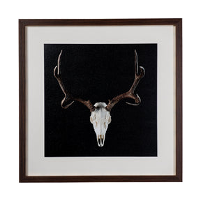 Deer Skull by Chris Dunker a Hand Embelished Textured Framed Art Print Matted under Glass by Mercana at Eve Furniture
