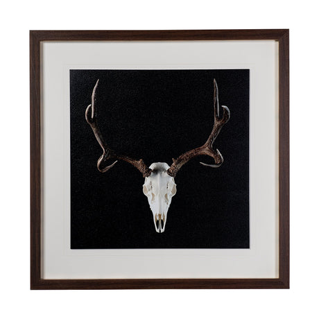 Deer Skull by Chris Dunker a Hand Embelished Textured Framed Art Print Matted under Glass by Mercana at Eve Furniture