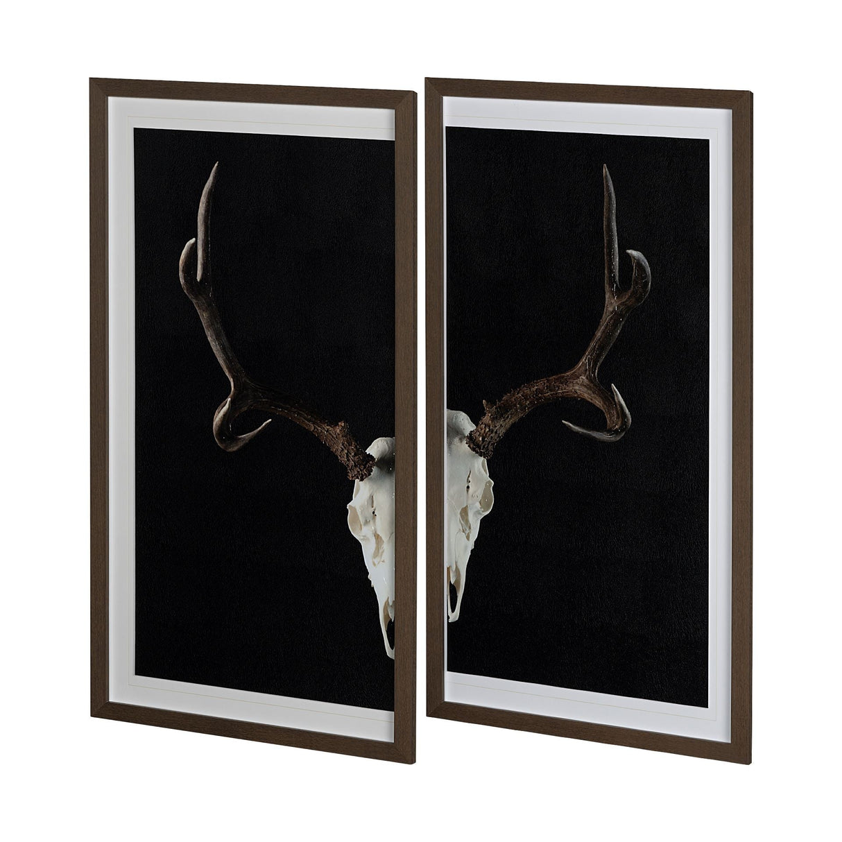 Deer Skull-L by Chris Dunker a Hand Embellished Textured Framed Art Print Matted under Glass by Mercana at Eve Furniture