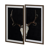 Deer Skull-L by Chris Dunker a Hand Embellished Textured Framed Art Print Matted under Glass by Mercana at Eve Furniture