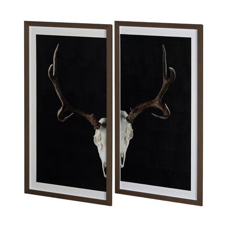 Deer Skull-L by Chris Dunker a Hand Embellished Textured Framed Art Print Matted under Glass by Mercana at Eve Furniture