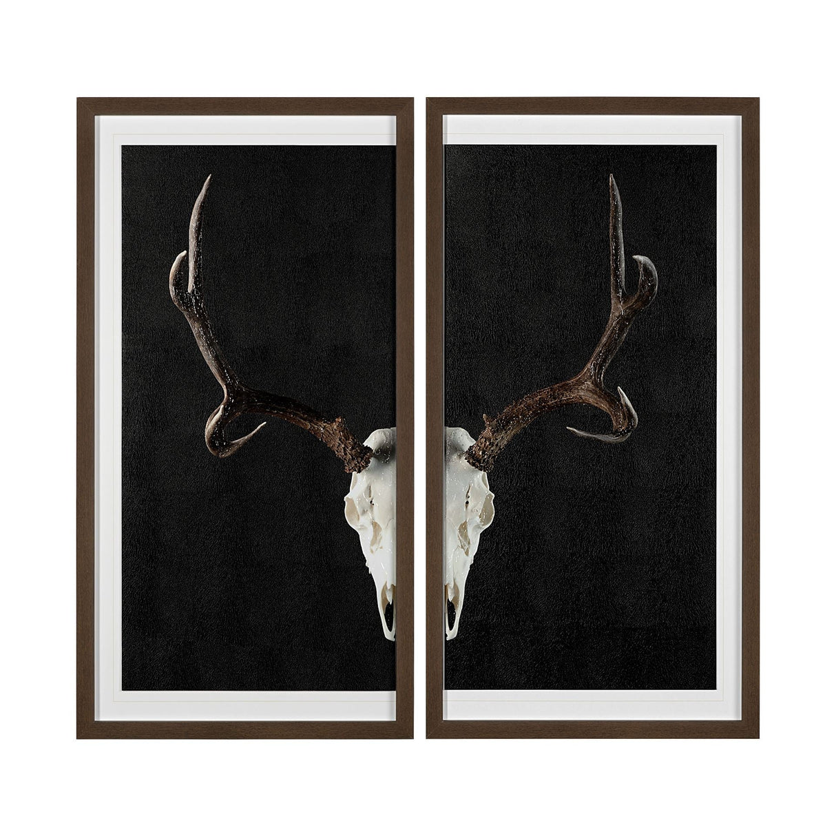 Deer Skull-L by Chris Dunker a Hand Embellished Textured Framed Art Print Matted under Glass by Mercana at Eve Furniture