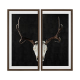 Deer Skull-L by Chris Dunker a Hand Embellished Textured Framed Art Print Matted under Glass by Mercana at Eve Furniture
