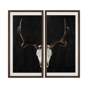 Deer Skull-L by Chris Dunker a Hand Embellished Textured Framed Art Print Matted under Glass by Mercana at Eve Furniture