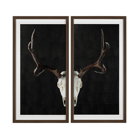 Deer Skull-L by Chris Dunker a Hand Embellished Textured Framed Art Print Matted under Glass by Mercana at Eve Furniture