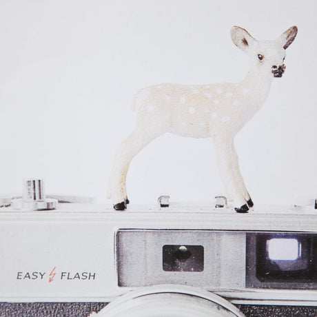 Deer & Vintage Camera by Susannah Tucker Photography a Framed Photo Art Print Matted under Glass by Mercana at Eve Furniture